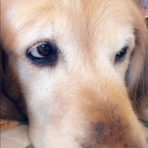 Meet your Posher, Charlotte